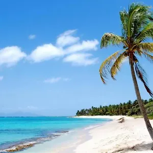 Hébergement de vacances Rare : Bois Avec Piscine Privée , Ti Plaisir, Le Moule